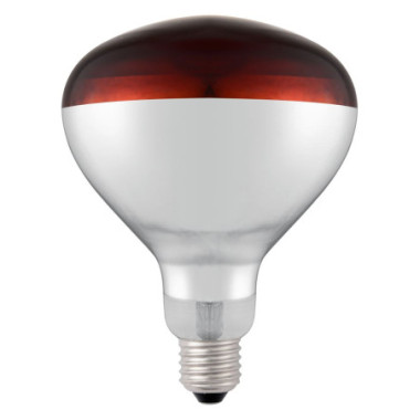 Ampoule infrarouge chauffante - Rouge - 230V/250W - O125xH170 mm (HENDI)  au meilleur prix sur Restock CHR