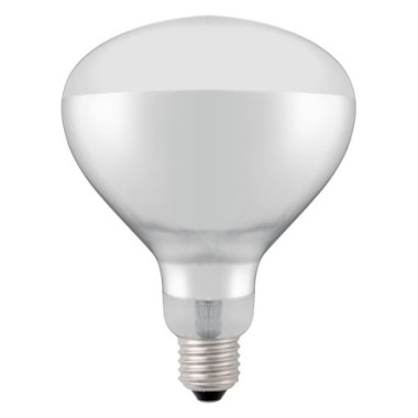 Ampoule infrarouge chauffante - Blanc - 230V/250W - O125xH170 mm (HENDI)  au meilleur prix sur Restock CHR