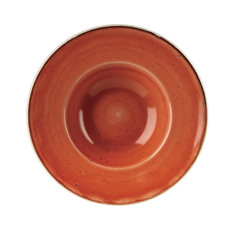 Bols à bord large Stonecast Spiced Orange 239mm (Lot de 12) - Churchill