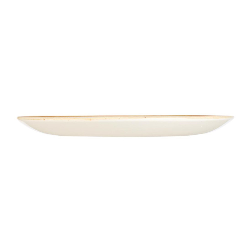 Assiettes rondes Stonecast Spiced Orange 260mm (Lot de 12) - Churchill