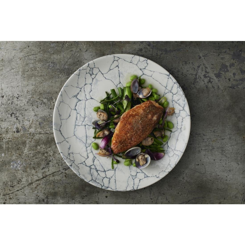 Assiettes rondes Studio Prints Kintsugi Pearl Evolve Grey 260mm (Lot de 12) - Churchill