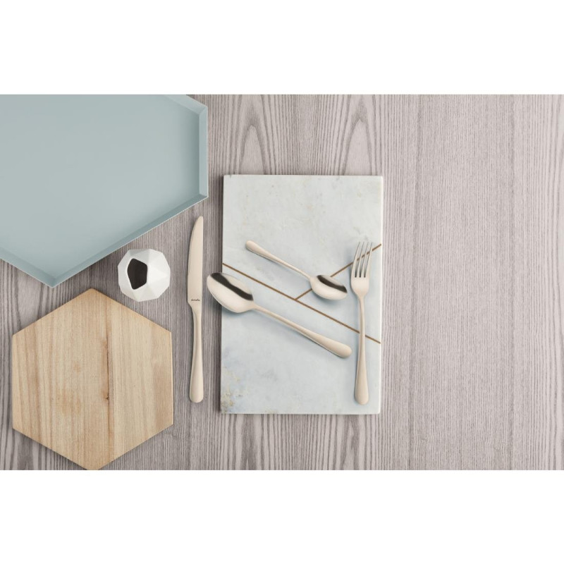 Fourchettes de table Austin champagne (lot de 12) - AMEFA