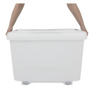 Boîte de conservation 90L - 465 x 480 x 705 mm - ARAVEN