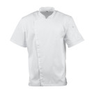Veste de cuisinier à manches courtes Cannes XXL - CHEF WORKS
