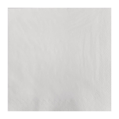 Serviettes Lunch en papier blanches 2 plis 330mm (Lot de 1500) - FASANA