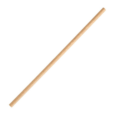 Pailles compostables en papier kraft (lot de 250) - FIESTA COMPOSTABLE
