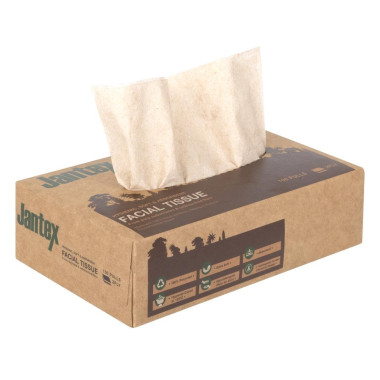 Mouchoirs Green 100% recyclé 100 feuilles (lot de 36) - JANTEX