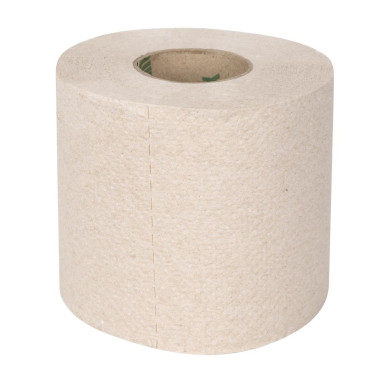 Rouleaux de papier toilette Green 100% recyclé 2 plis 320 feuilles (lot de 36) - JANTEX