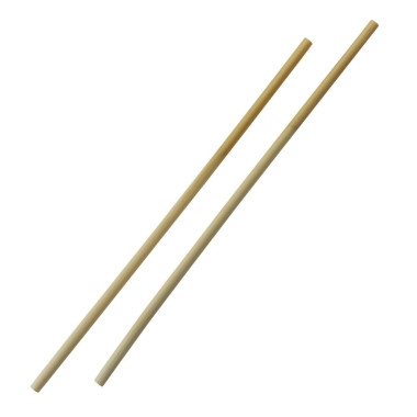 Pailles droites en roseau 6-8 mm / 25 cm (lot de 50) - SIER DISPOSABLES
