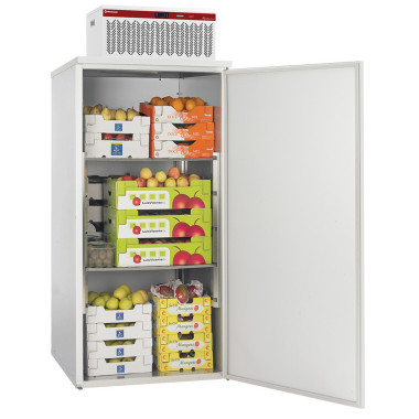 Armoire réfrigérée +2°/+8° avec groupe intégré - 935x995x2240 mm - Diamond