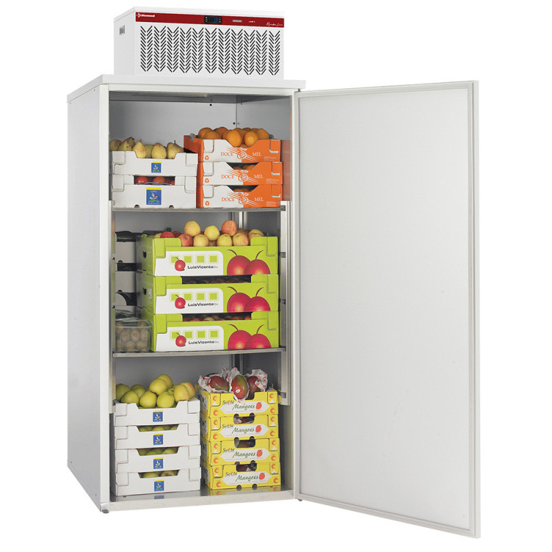 Armoire réfrigérée +2°/+8° avec groupe intégré - 935x995x2240 mm - Diamond