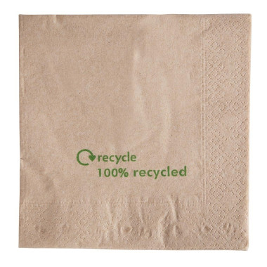 Serviettes double épaisseur en papier recyclé (Lot de 2000) - SWANTEX