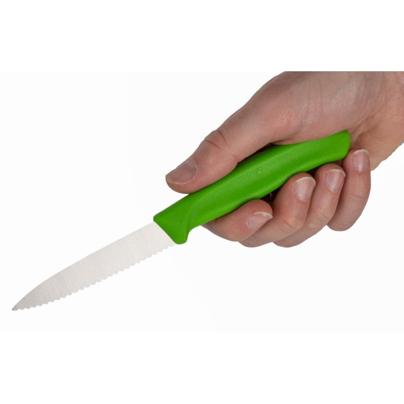 Couteau d'office lame dentée bout pointu vert 80mm - VICTORINOX