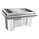 Comptoir à poisson réfrigéré - Combisteel