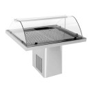 Vitrine réfrigérée pour Poissons 1.4 - Combisteel