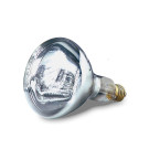 Ampoule blanche pour Lampe chauffante professionnelles chauffantes - 250 W - Sofraca