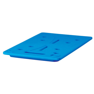 Plaque eutectique Camchiller GN 1/1 pour BK60406/BK60407 - 53 x 32.5 x 3 cm - Cambro  au meilleur prix sur Restock CHR