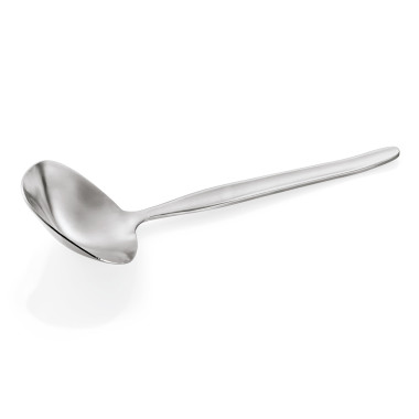 Cuillère à sauce 17,5 cm (x12) NP 80 professionnel - Was Germany  au meilleur prix sur Restock CHR