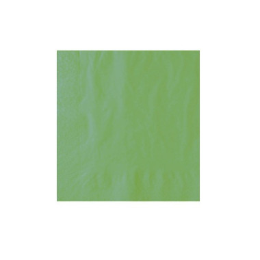 Serviette jetable verte kiwi 2 plis 40x40 cm - 100 pièces - Ecobioshopping  au meilleur prix sur Restock CHR