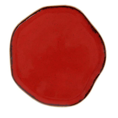 Assiette plate Pure Seasons Magma - 270 mm - Finedine  au meilleur prix sur Restock CHR