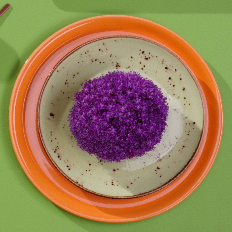 Assiette plate olive - 240 mm - Finedine  au meilleur prix sur Restock CHR