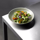 Assiette Plate Evolve Vert Patiné Fini Pierre 8.67" / 217 mm - Finedine  au meilleur prix sur Restock CHR