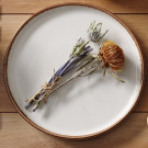 Assiette plate en porcelaine blanche - 260 mm - Finedine  au meilleur prix sur Restock CHR