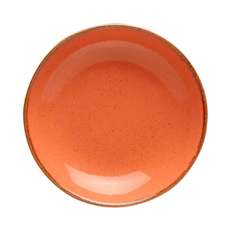 Assiette plate Amber - 260 mm - Finedine  au meilleur prix sur Restock CHR