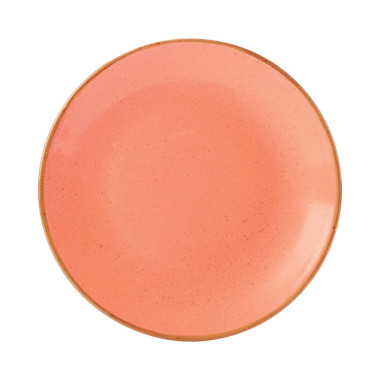 assiette Amber - 300mm - Finedine  au meilleur prix sur Restock CHR
