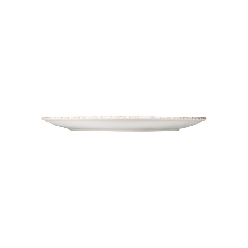 Assiette plate 32,5 cm iris ROCKZZERO (x4) COUPE IRIS professionnel - Was Germany  au meilleur prix sur Restock CHR