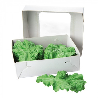 Verdure décoration - Emga  au meilleur prix sur Restock CHR