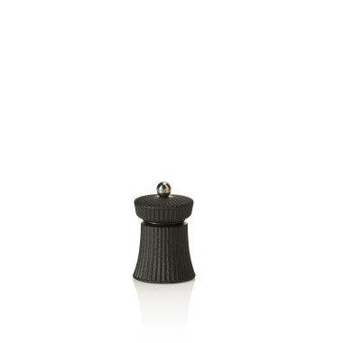 Moulin à sel H 9,5 cm noir fonte IRON CRUSH professionnel - Was Germany  au meilleur prix sur Restock CHR