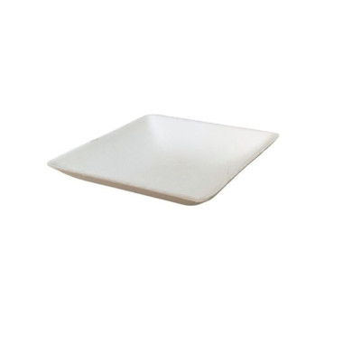 Mini assiette jetable 6,5x6,5 cm en cellulose - 100 pièces - Ecobioshopping  au meilleur prix sur Restock CHR