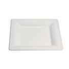 Assiette jetable Élégance 20x20 cm en cellulose - 50 pièces - Ecobioshopping  au meilleur prix sur Restock CHR