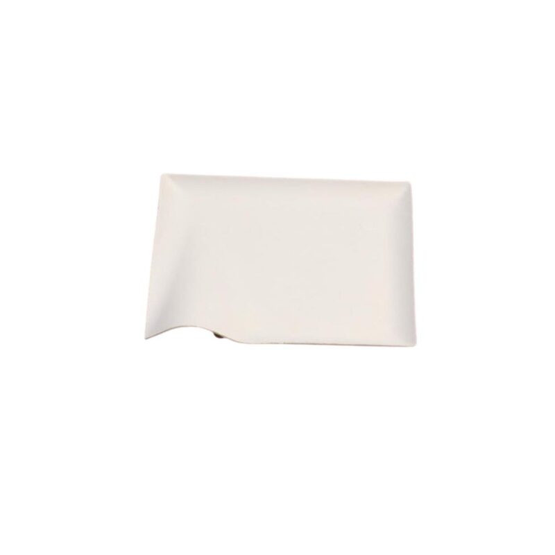 Assiette jetable Finger Food 15x15 cm en cellulose - 50 pièces - Ecobioshopping  au meilleur prix sur Restock CHR