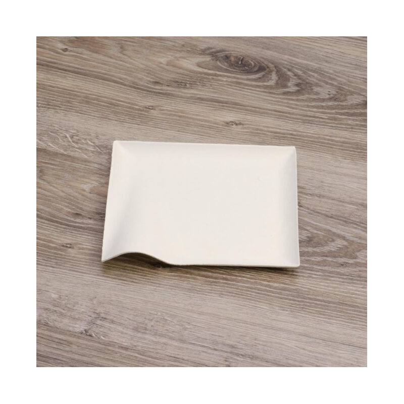 Assiette jetable Finger Food 15x15 cm en cellulose - 50 pièces - Ecobioshopping  au meilleur prix sur Restock CHR
