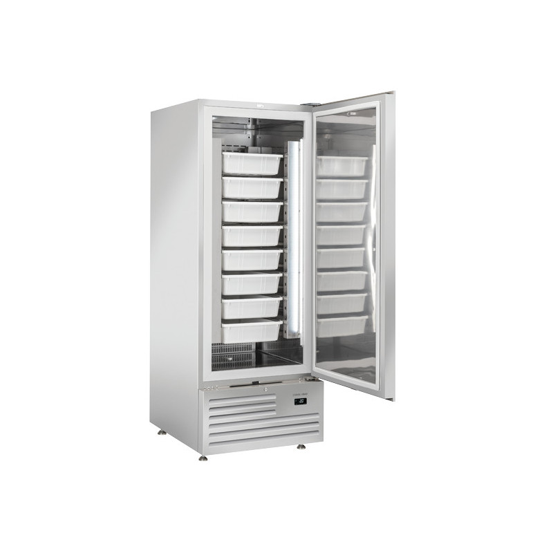 Armoire réfrigérée GN2/1 pour poissons 600L moteur inférieur acier inoxydable alarme filtre amovible - Cool Head  au meilleur pr