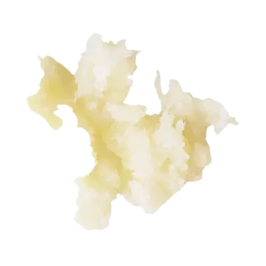Disque Essentail râpeur 1 mm - Robot Coupe  au meilleur prix sur Restock CHR