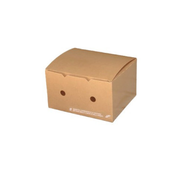 Boîte à nuggets jetable Petit 12x7x5 cm - 50 pièces - Ecobioshopping  au meilleur prix sur Restock CHR