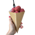 Cône Porte-frites Grand h 22,5 cm - 50 pièces - Ecobioshopping  au meilleur prix sur Restock CHR