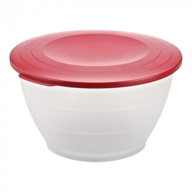 Bassine de cuisine 06,5L - Westmark  au meilleur prix sur Restock CHR