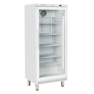 Vitrine réfrigérée 600 x 400 mm BYG 460 - Cool Head  au meilleur prix sur Restock CHR