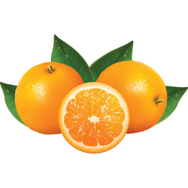 Presse-oranges automatique - compact - Diamond  au meilleur prix sur Restock CHR