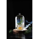 Cloche en verre avec aeration - Cloche cocktail - O130xH282 mm (HENDI)  au meilleur prix sur Restock CHR