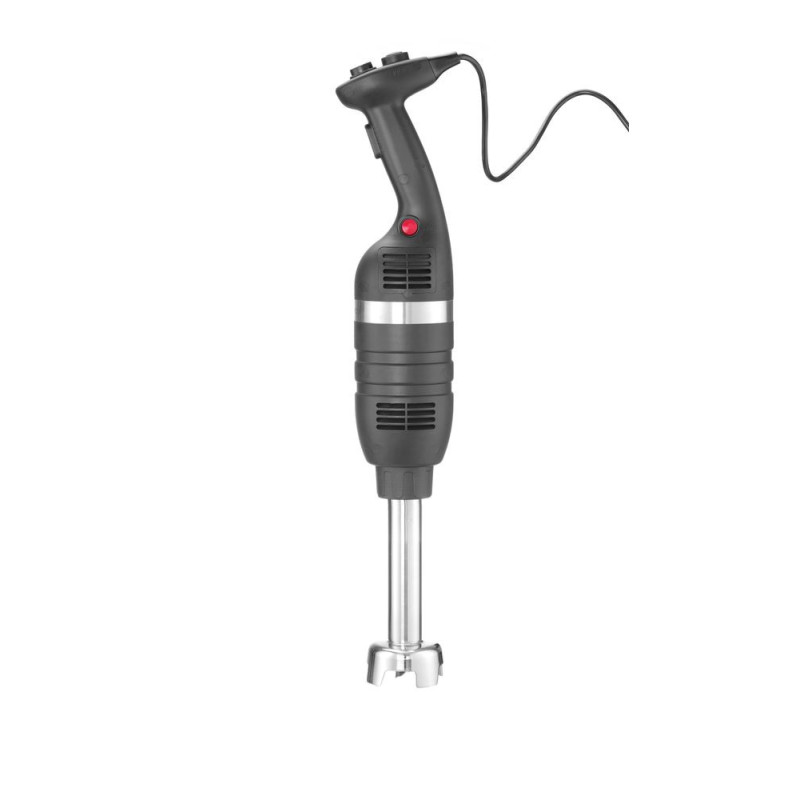 Mixeur plongeur 350 a vitesse variable et pied melangeur de 250 mm - Noir - 230V/350W - O100x666 mm (HENDI)  au meilleur prix su